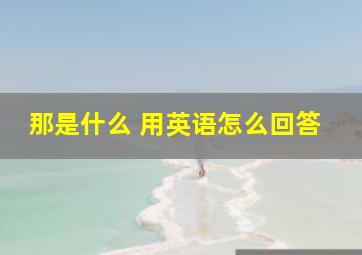 那是什么 用英语怎么回答